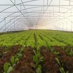 Nano And Biofood Rezort 4*