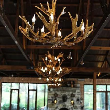 Nano And Biofood Resort