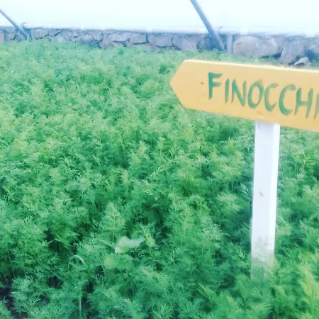 Feriested Nano And Biofood