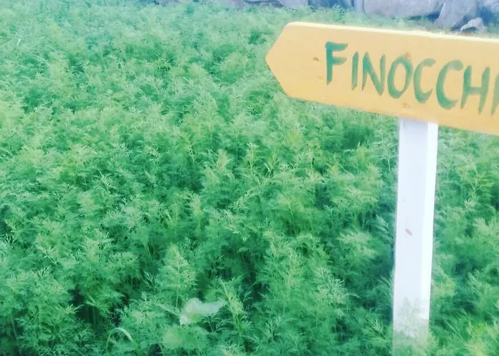 Resort Nano And Biofood