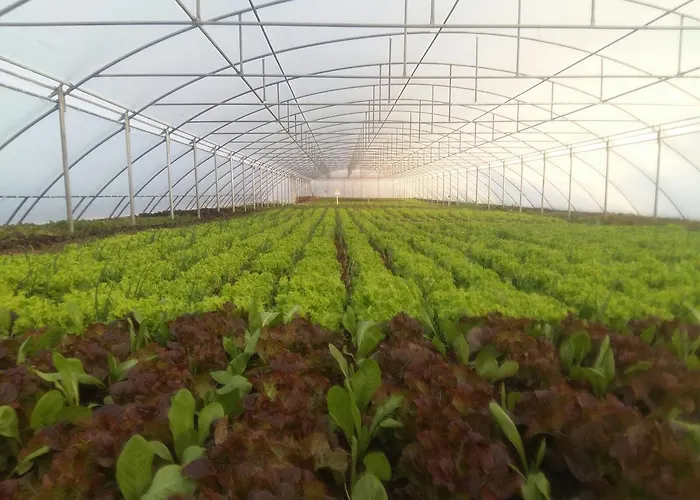 Nano And Biofood 度假村 4*