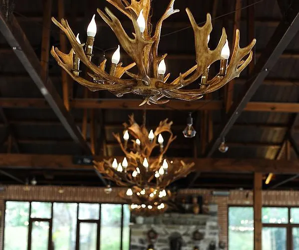 Nano And Biofood 度假村